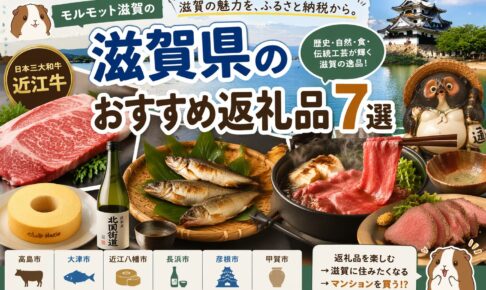 ふるさと納税で「滋賀の魅力」を丸ごと味わおう！～近江牛から信楽焼まで～【モルモット】
